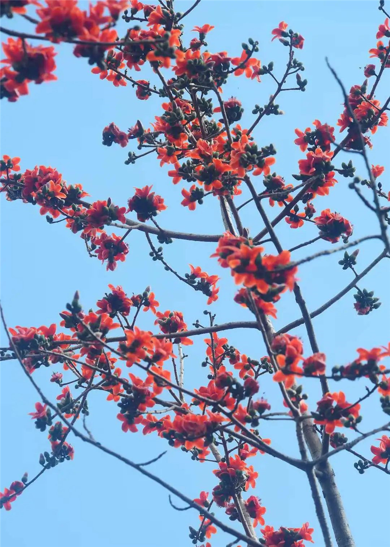 微信圖片_20250221203952