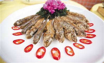 五指山石鯪魚(yú)。