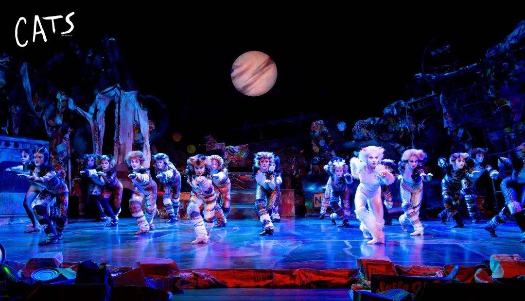 1562740073468501.jpg timg (4).jpg